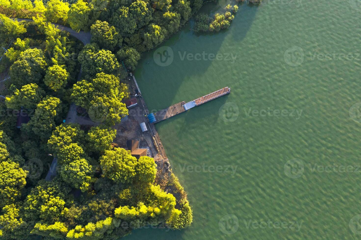 Bäume und hölzern Brücke durch das See. foto