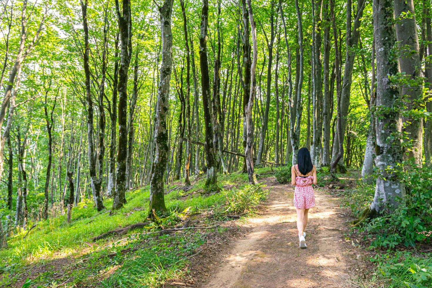 junge Frau, die im Naturschutzgebiet Sataplia spazieren geht foto