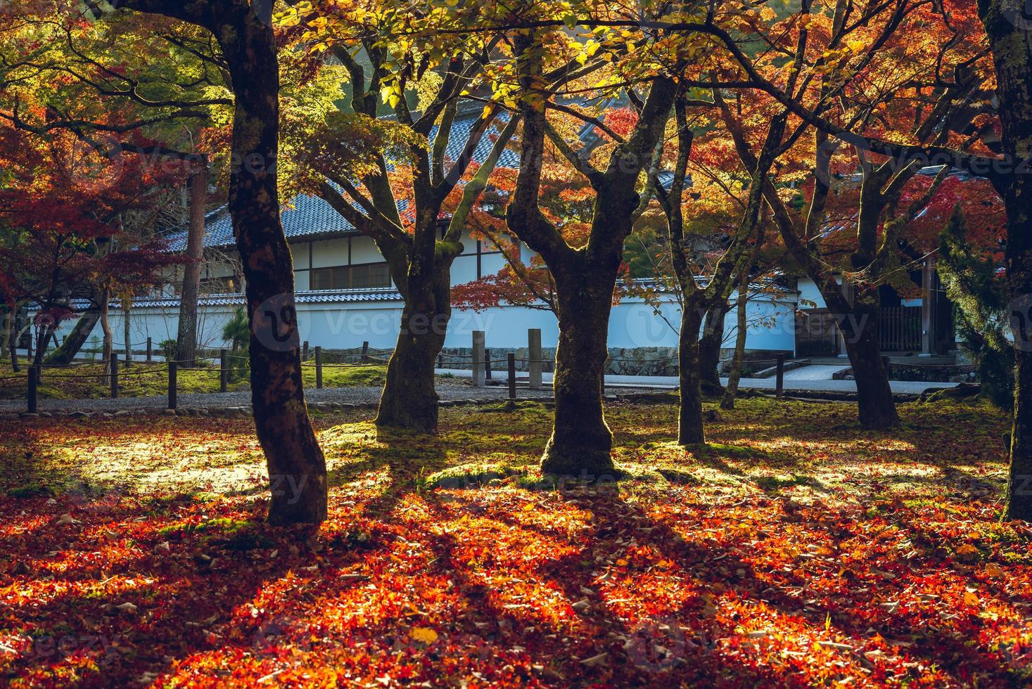 Herbstfärbung Blätter im Nanzenji-Tempel in Kyoto, Japan foto