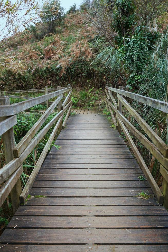 alte verlassene Holzbrücke foto