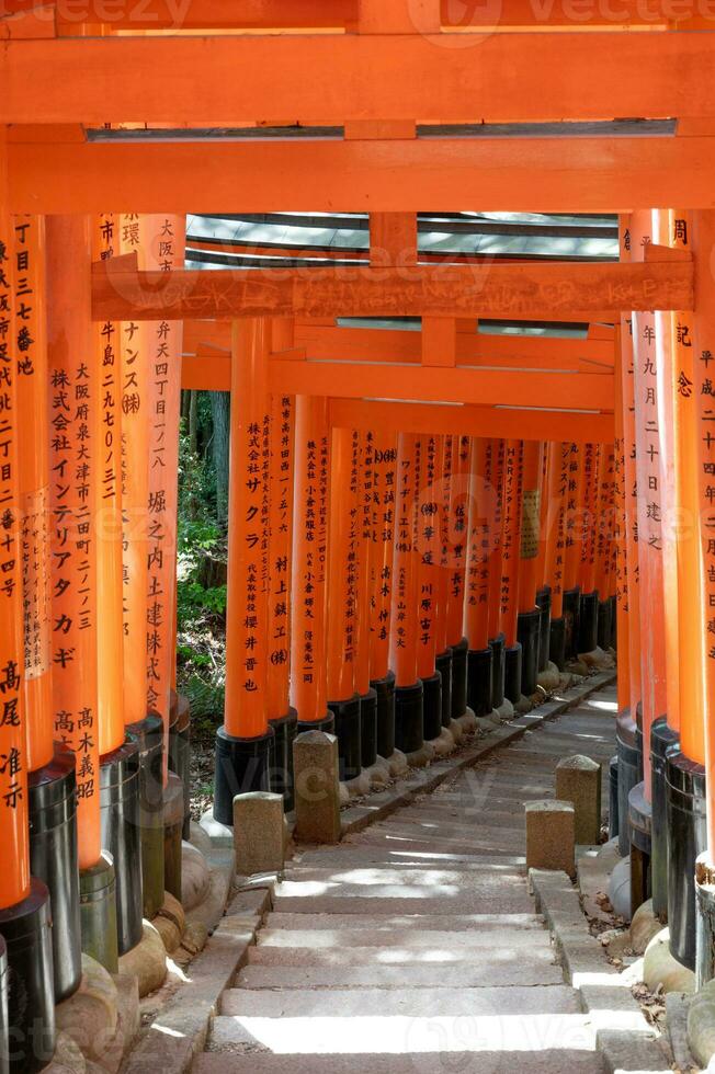 das Schrein von das tausend torii Tore. Fushimi Inari Schrein. es ist berühmt zum es ist Tausende von Zinnober torii Tore. Japan foto