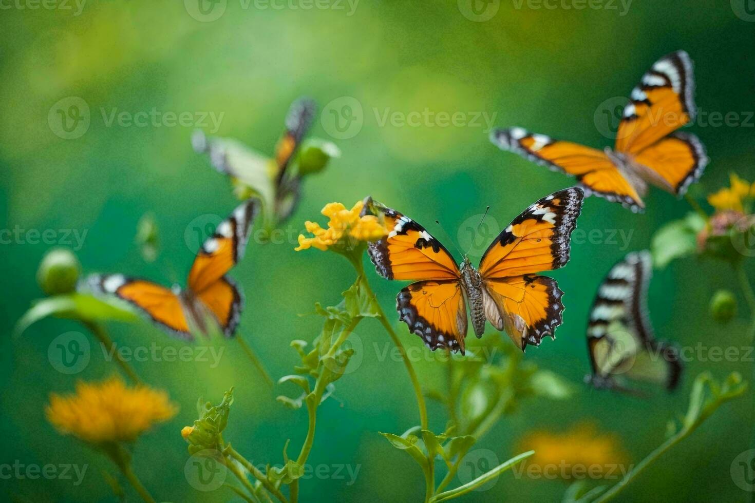 Schmetterlinge im Flug gegen ein beschwingt Grün Hintergrund, ihr Flügel Erstellen ein verwischen von Farben. foto