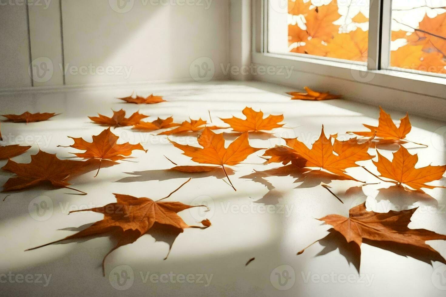 ein Foto realistisch Bild von Orange Ahorn Blätter