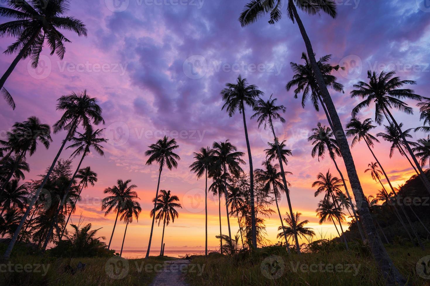 Silhouette der Kokospalme bei Sonnenuntergang am tropischen Strand foto