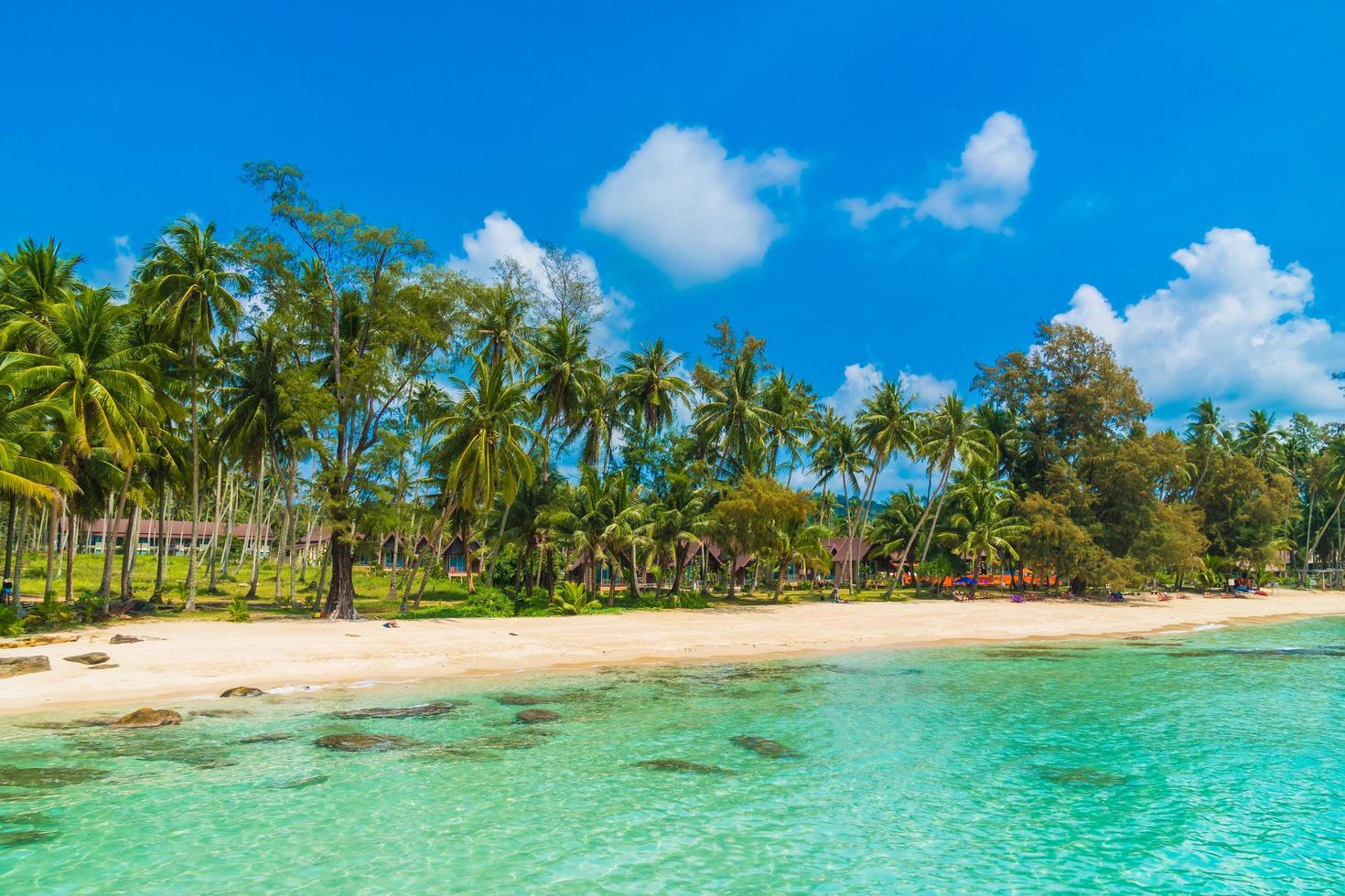 schöner tropischer Strand und Meer foto