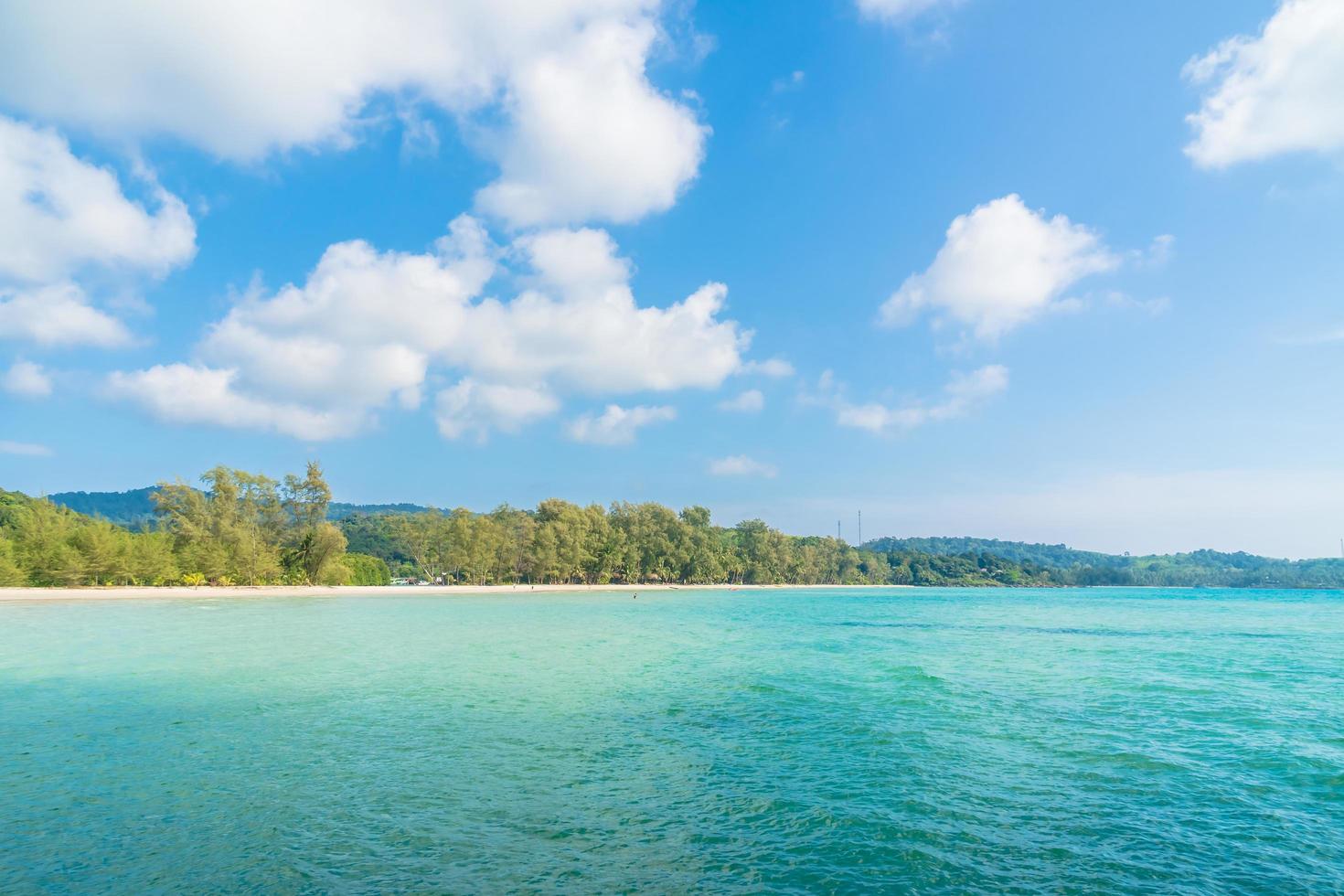 Kokospalme am Strand und Meer foto