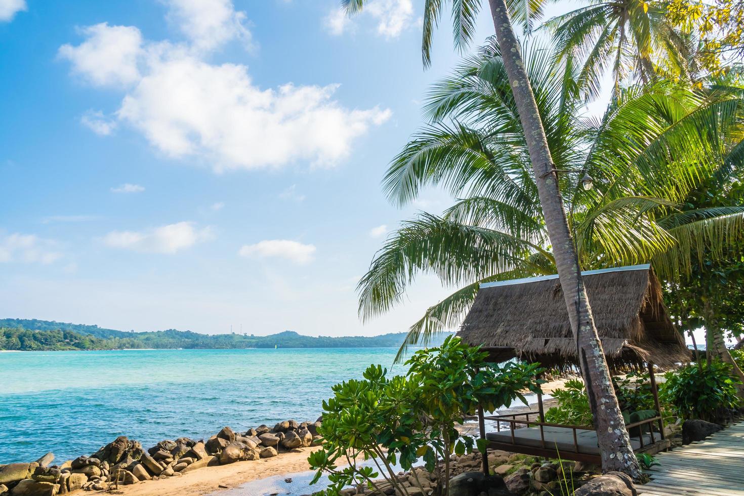 Kokospalme am Strand und Meer foto