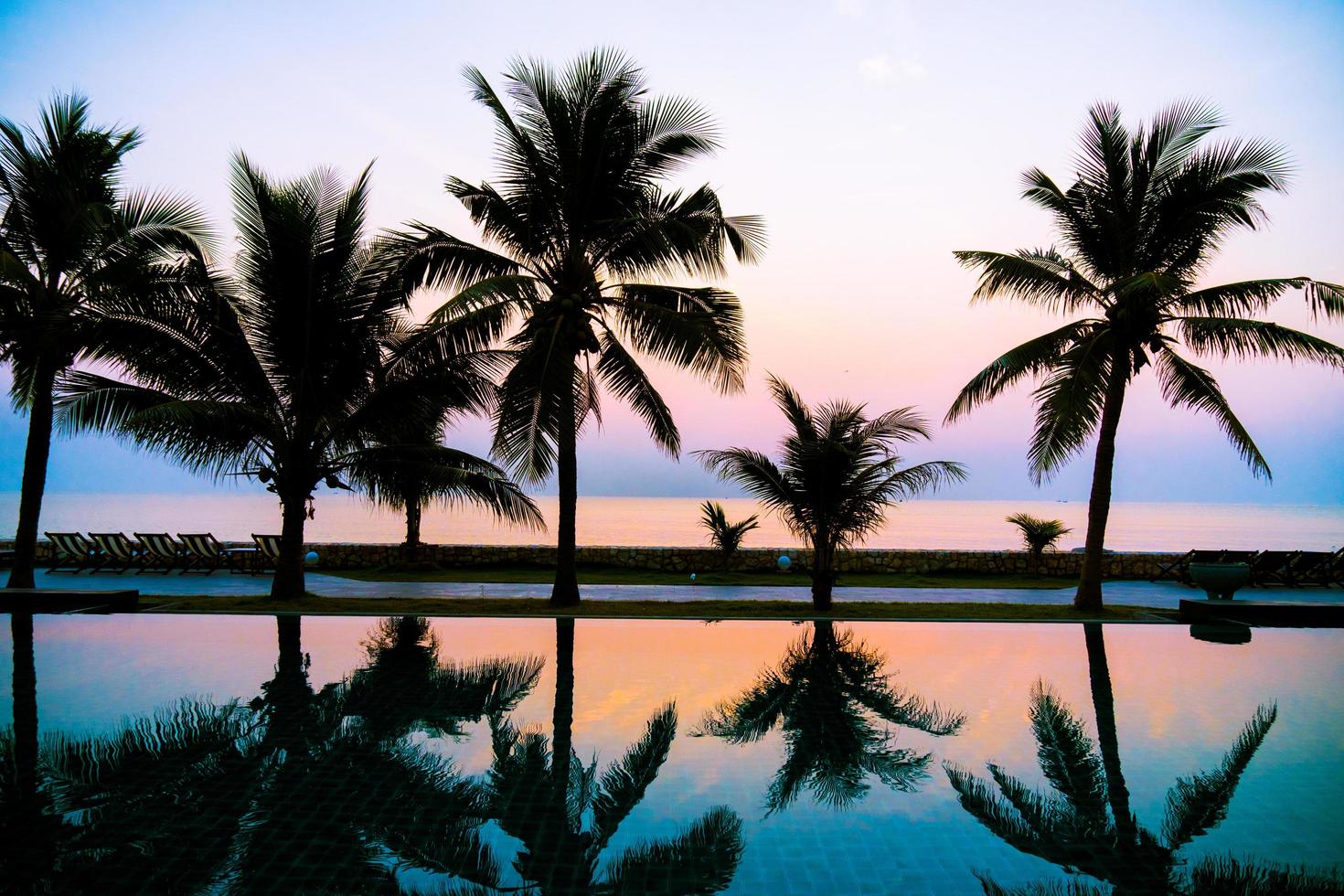 Silhouette Kokospalme um den Außenpool foto