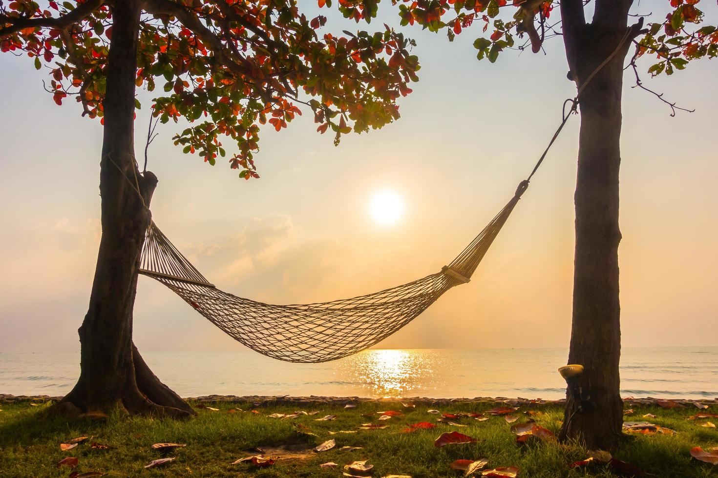 Hängematte in der Nähe von Strand und Meer bei Sonnenaufgang foto