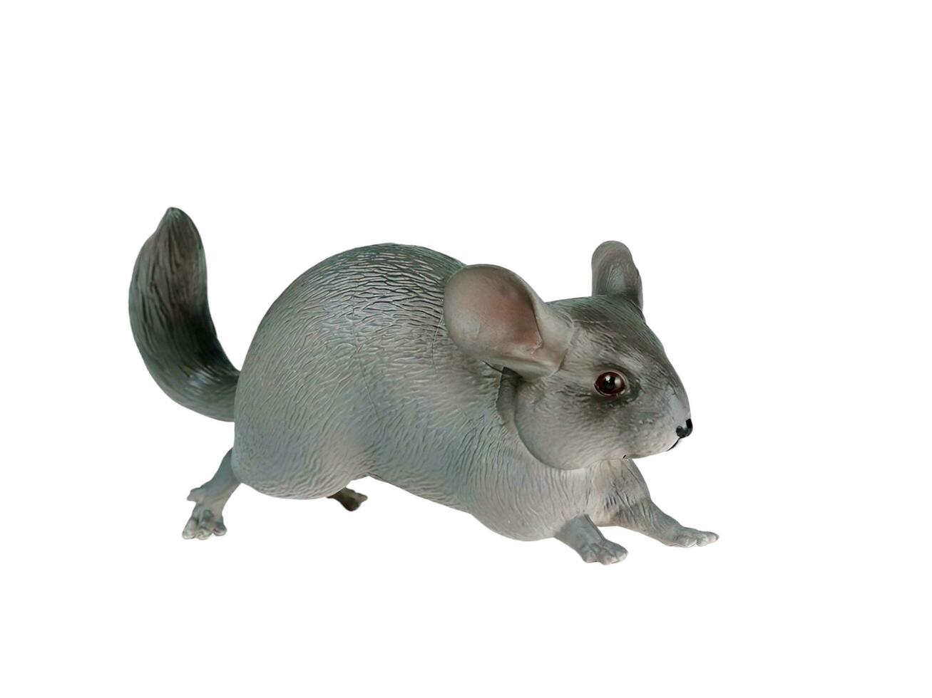 Miniatur Chinchilla Tier auf Weiß Hintergrund foto