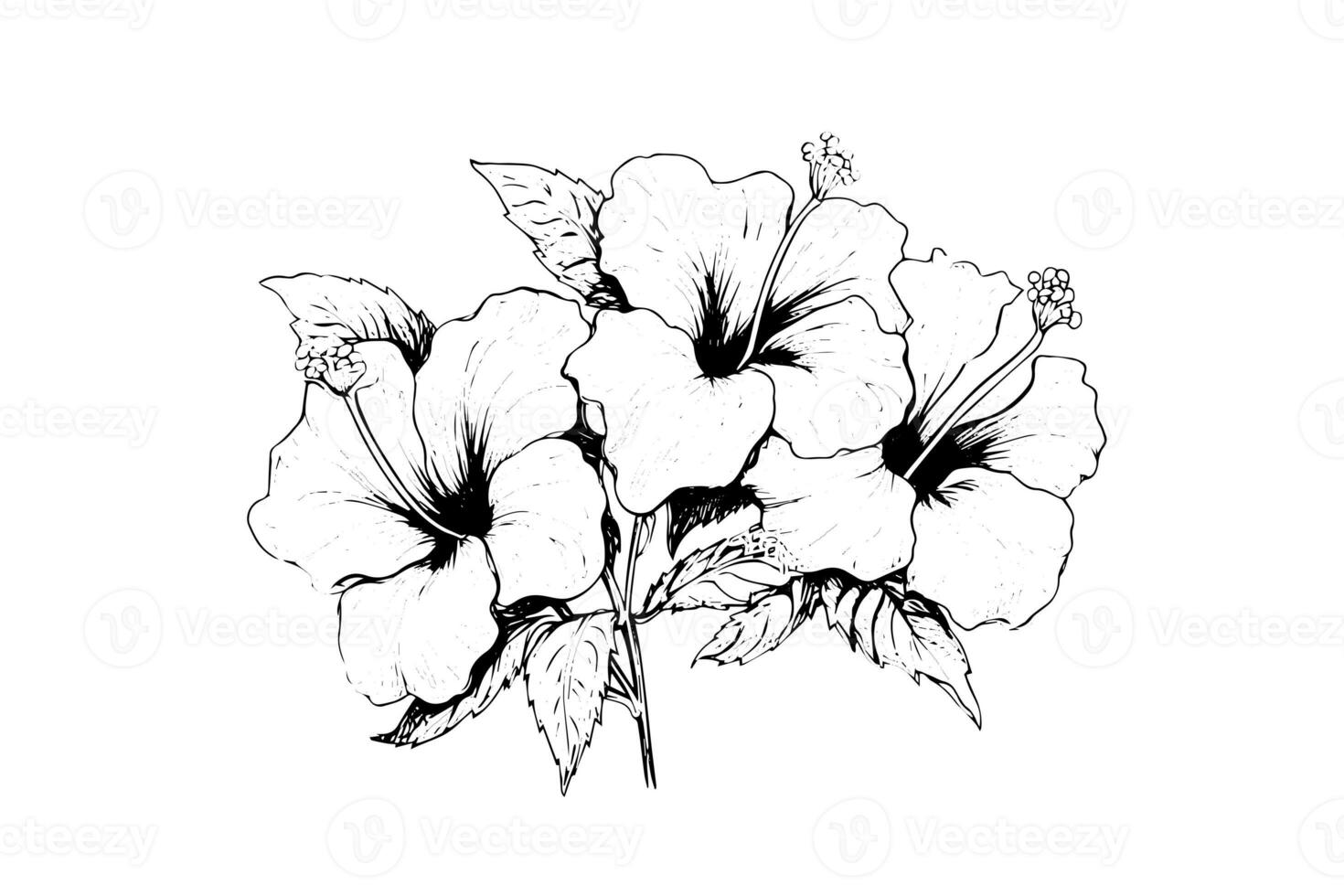 Hibiskus Blumen im ein Jahrgang Holzschnitt graviert Radierung Stil. Vektor Illustration. foto