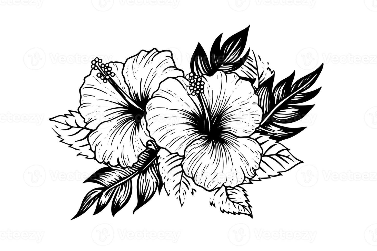 Hibiskus Blumen im ein Jahrgang Holzschnitt graviert Radierung Stil. Vektor Illustration. foto