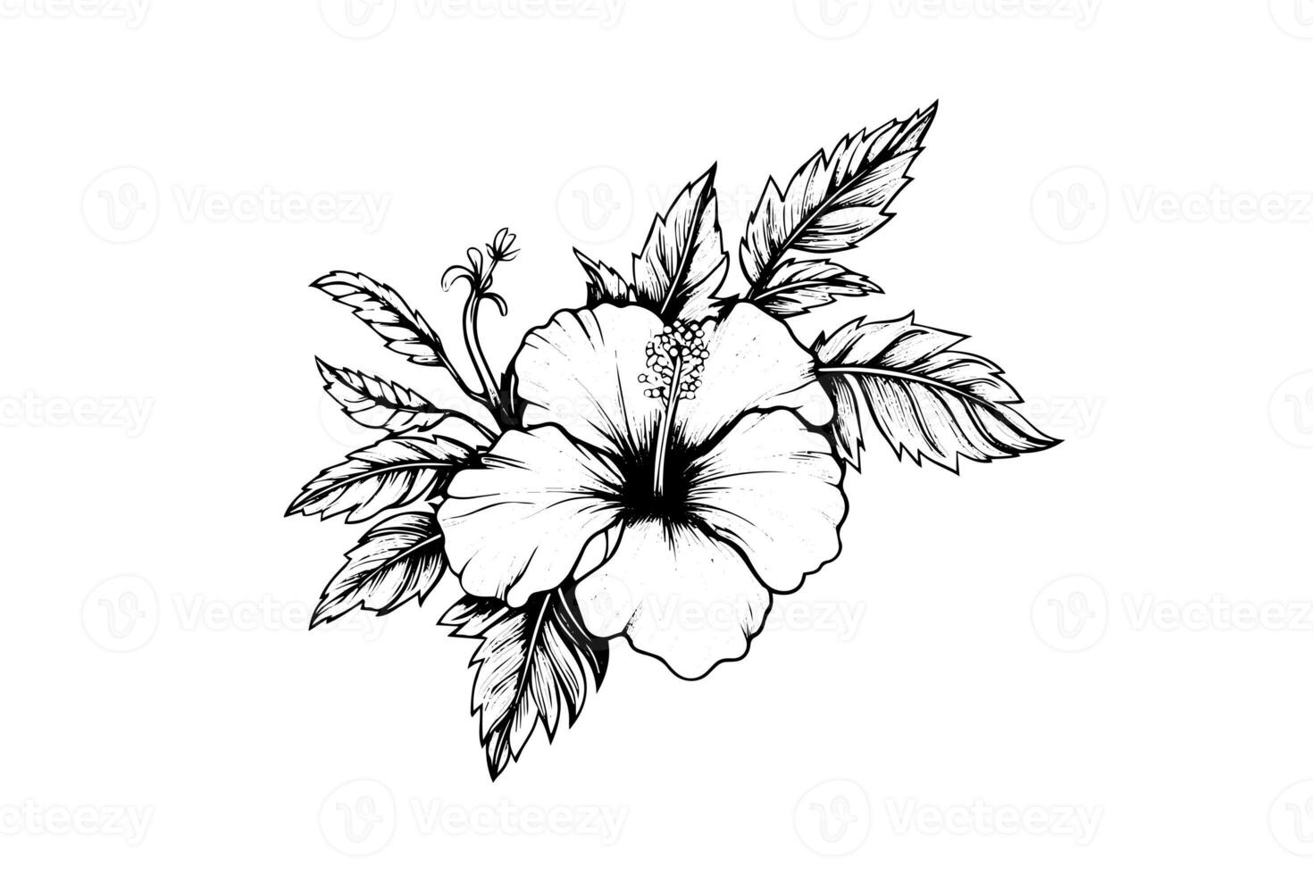 Hibiskus Blumen im ein Jahrgang Holzschnitt graviert Radierung Stil. Vektor Illustration. foto