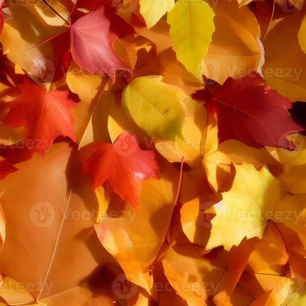 Herbst orange, Blätter fallen abstrakt Hintergrund, Blatt zufällig Element draussen foto