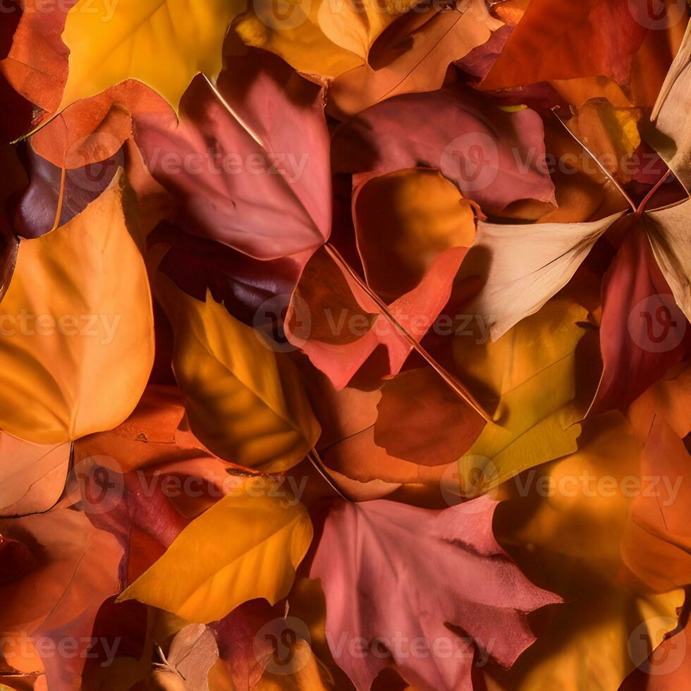 Herbst orange, Blätter fallen abstrakt Hintergrund, Blatt zufällig Element draussen foto