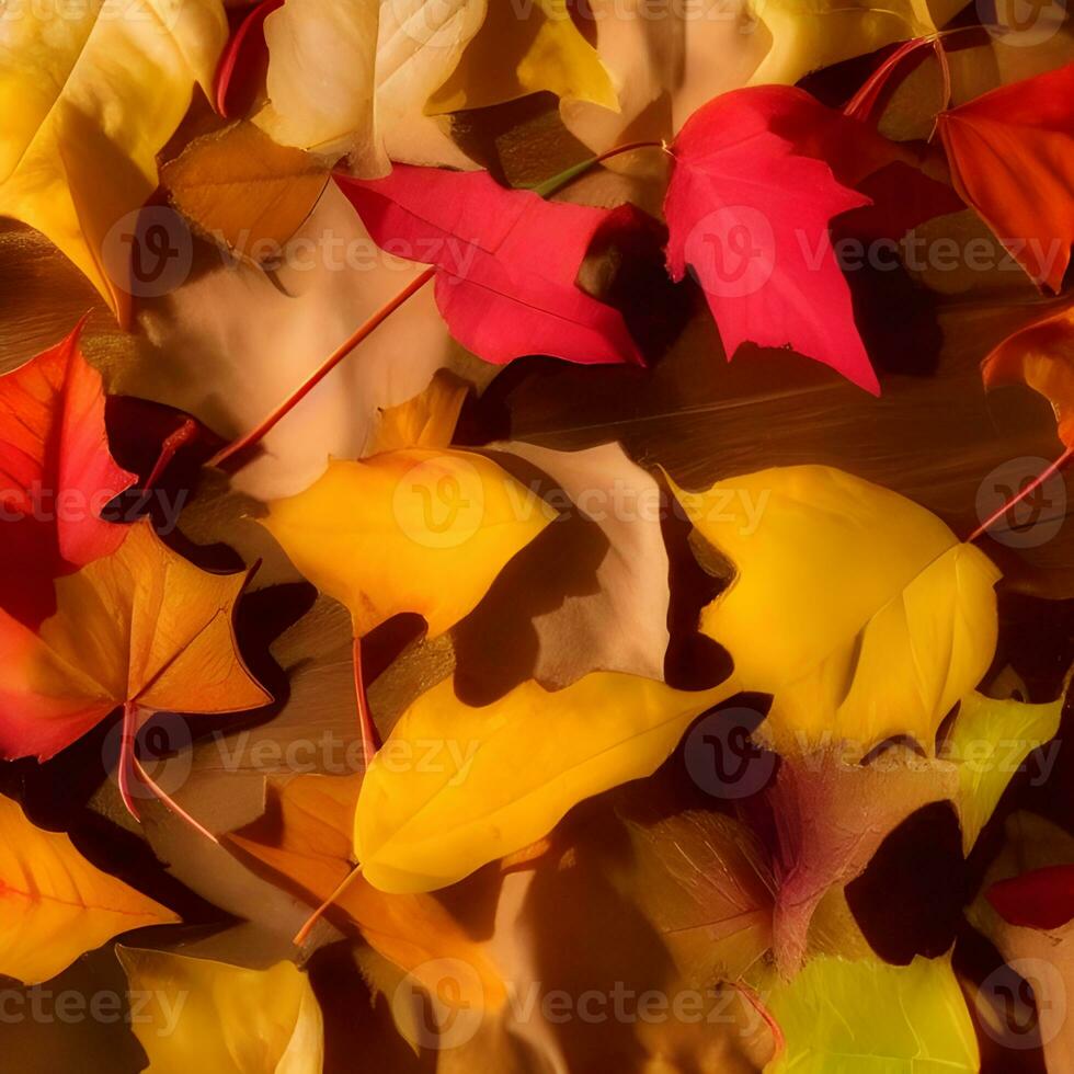 Herbst orange, Blätter fallen abstrakt Hintergrund, Blatt zufällig Element draussen foto