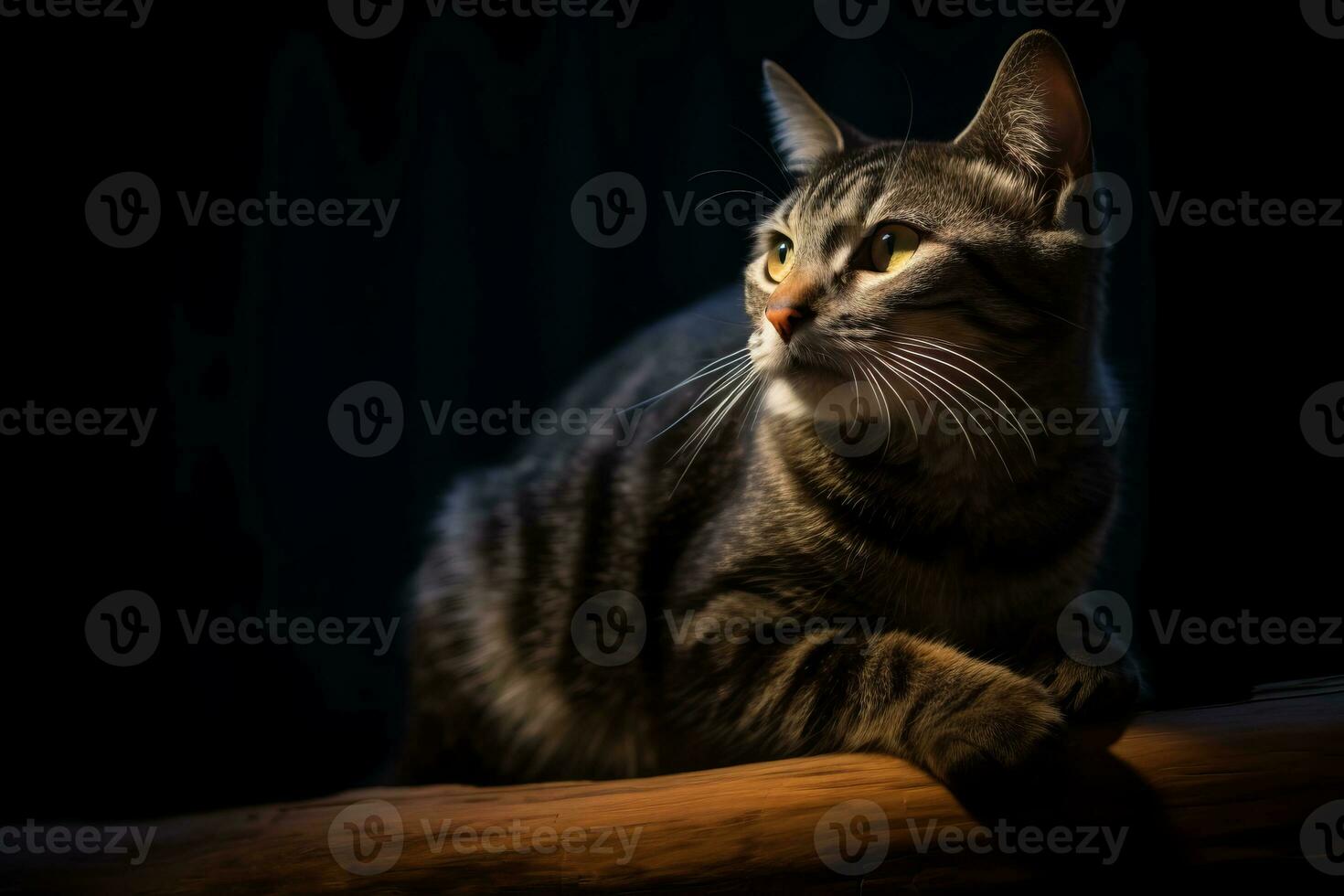 ein Katze ist Sitzung auf ein Log im das dunkel generativ ai foto