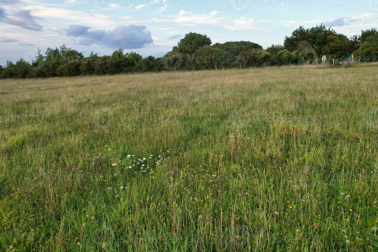 hoch Winkel Panorama- Landschaft Aussicht von britisch landwirtschaftlich Bauernhöfe beim Landschaft Landschaft von Spitzer Klöppel, Luton Stadt von England Vereinigtes Königreich. Aufnahmen gefangen auf August 19., 2023 foto