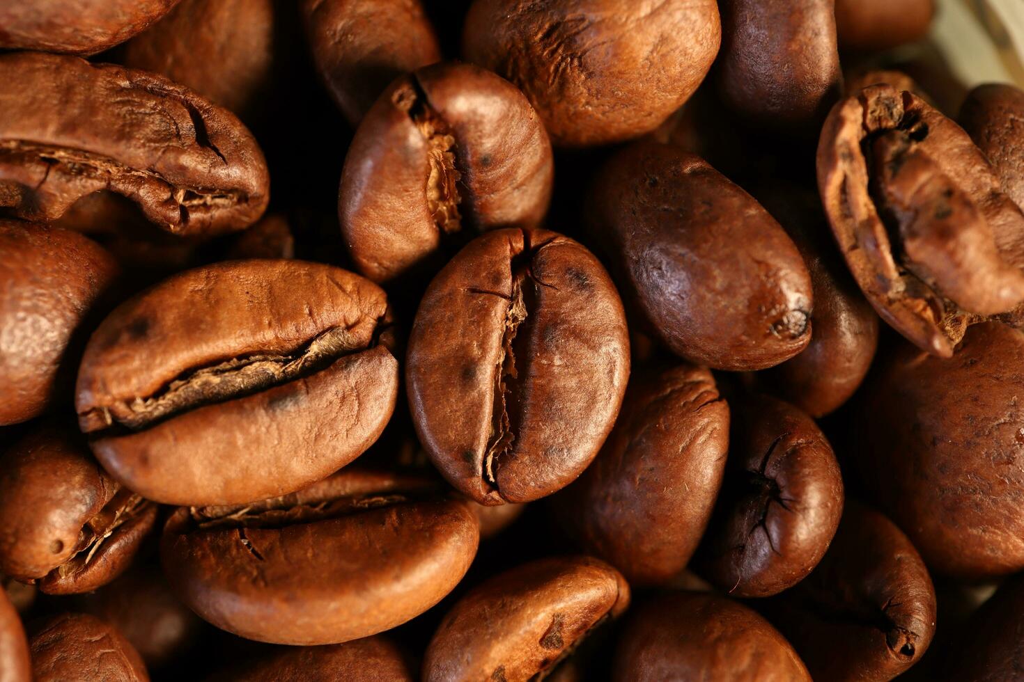 Kaffee Bohnen unter warm Licht im Nahansicht foto