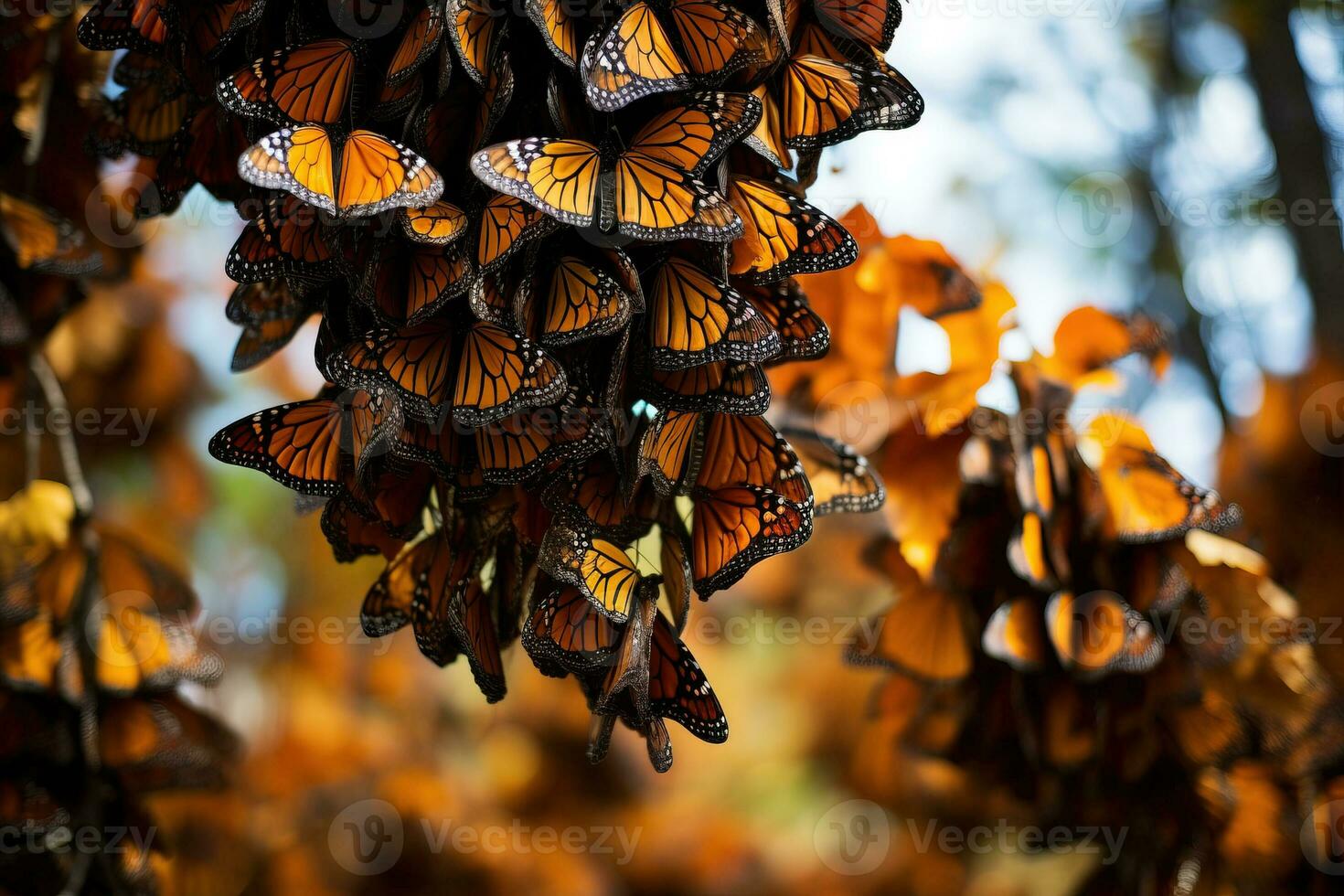 ein faszinierend Meer von Orange und schwarz füllt das Luft wie Tausende von Monarch Schmetterlinge einschiffen auf ihr jährlich Migration Reise foto