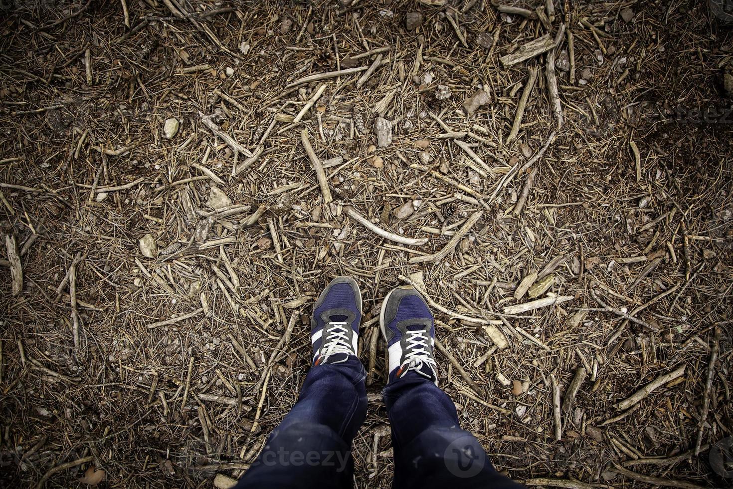 Männerfüße im Wald foto