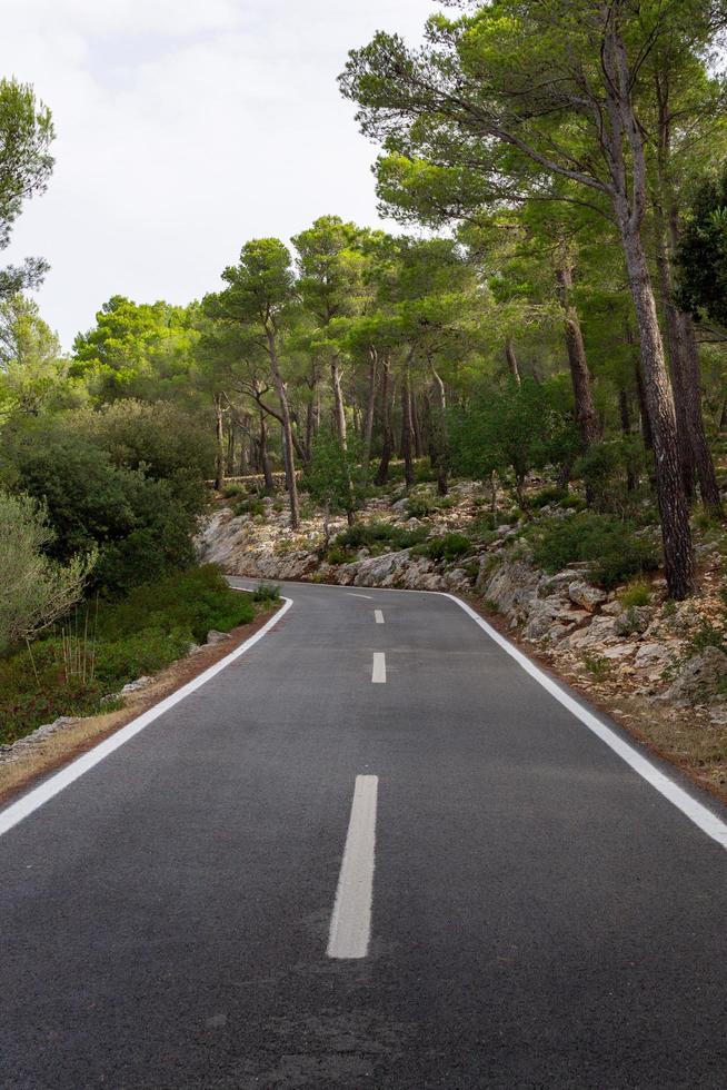 Straße zwischen den Bäumen. Fahrradroute von Mallorca foto