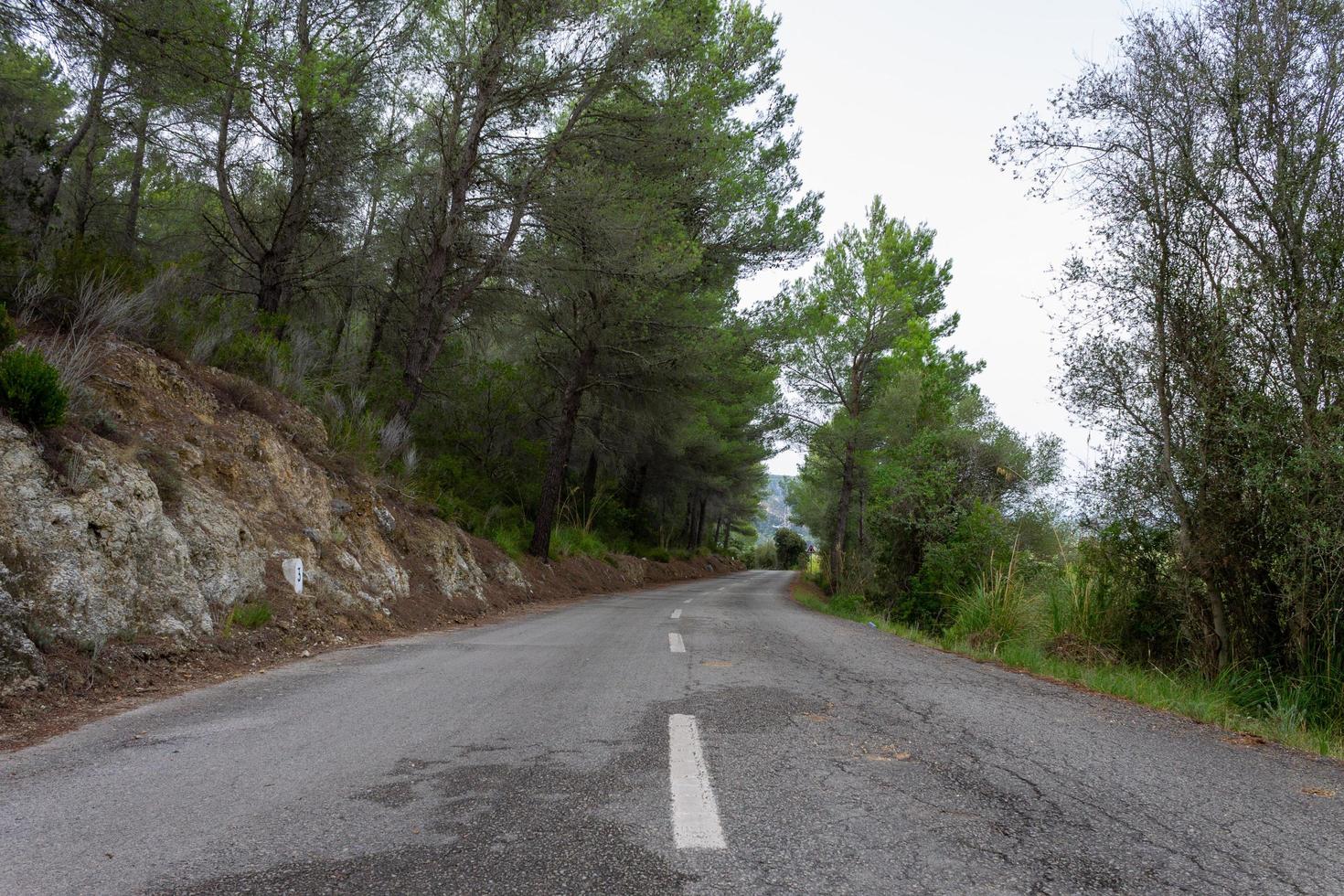 Straße zwischen den Bäumen. Fahrradroute von Mallorca foto