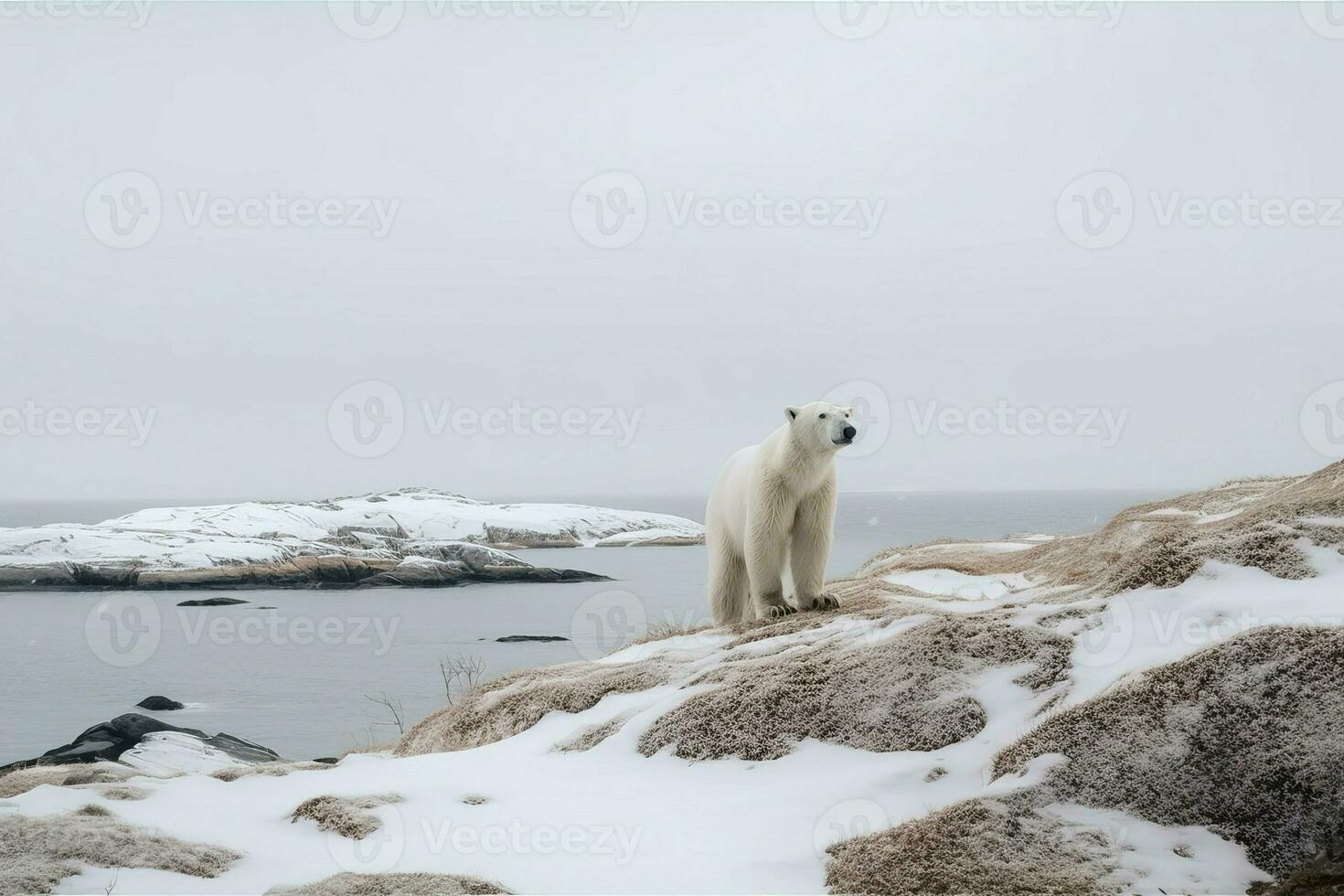 Polar- Bär Insel. generieren ai foto