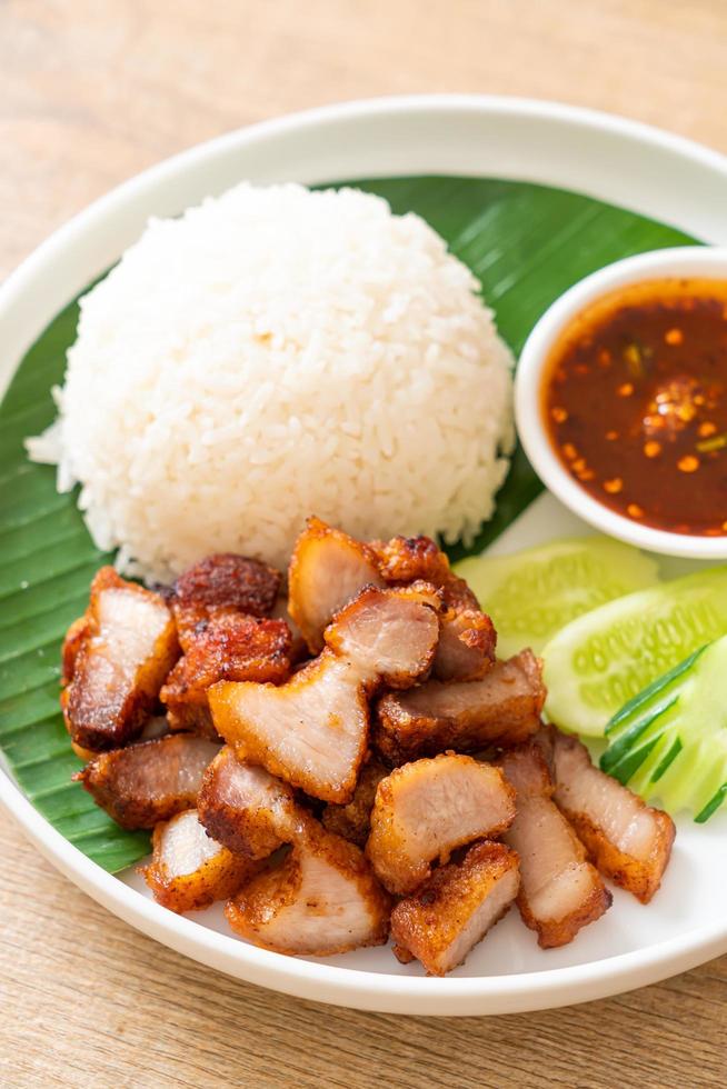 gebratenes Schweinebauchfleisch mit Reis mit pikanter Sauce nach asiatischer Art foto