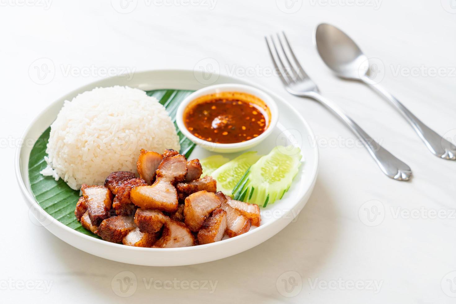 gebratenes Schweinebauchfleisch mit Reis mit pikanter Sauce nach asiatischer Art foto