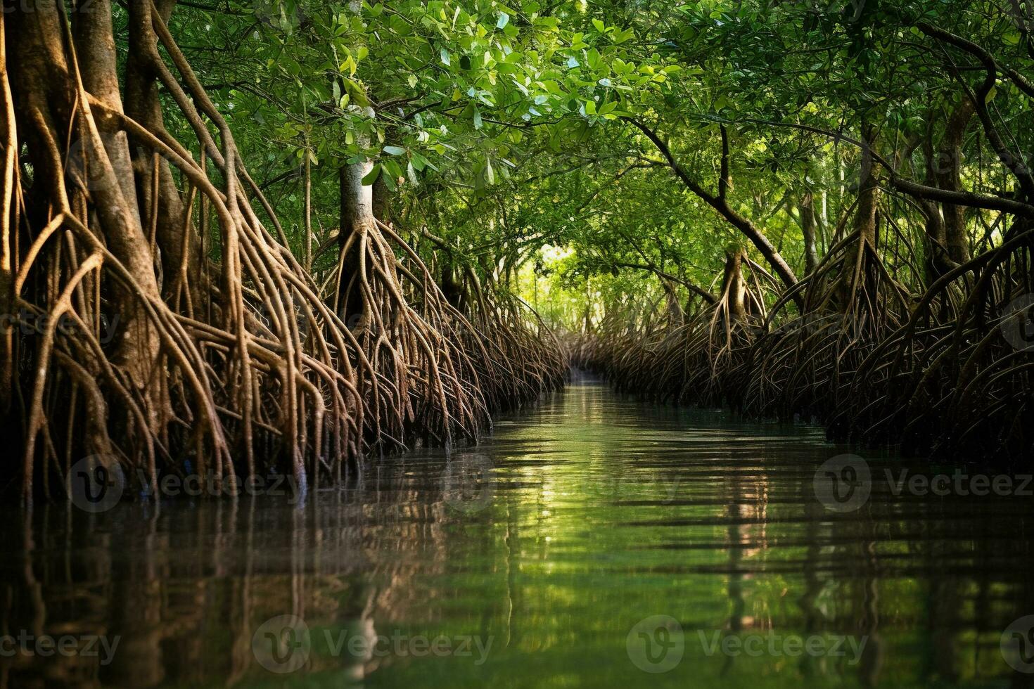 Mangrove Bäume Fluss ai generativ foto