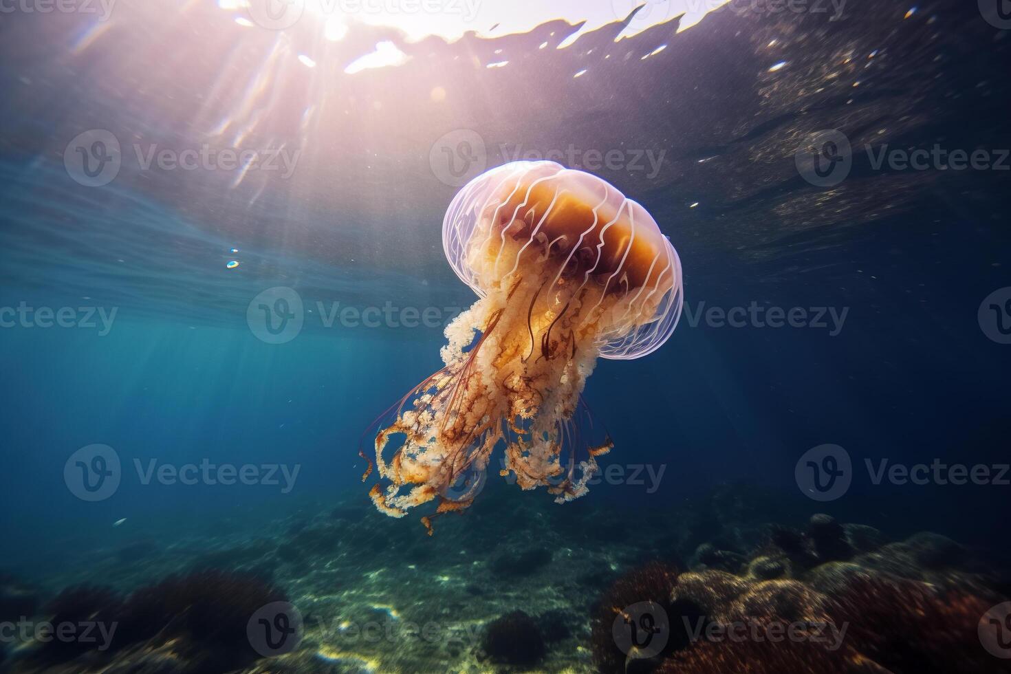 Qualle Schwimmen im öffnen Ozean, unter Wasser Fotografie ai generativ foto