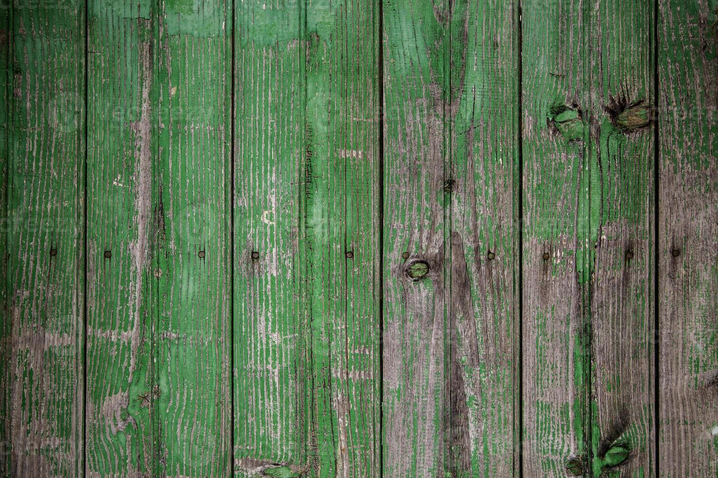 grün gestrichene Holzwand foto