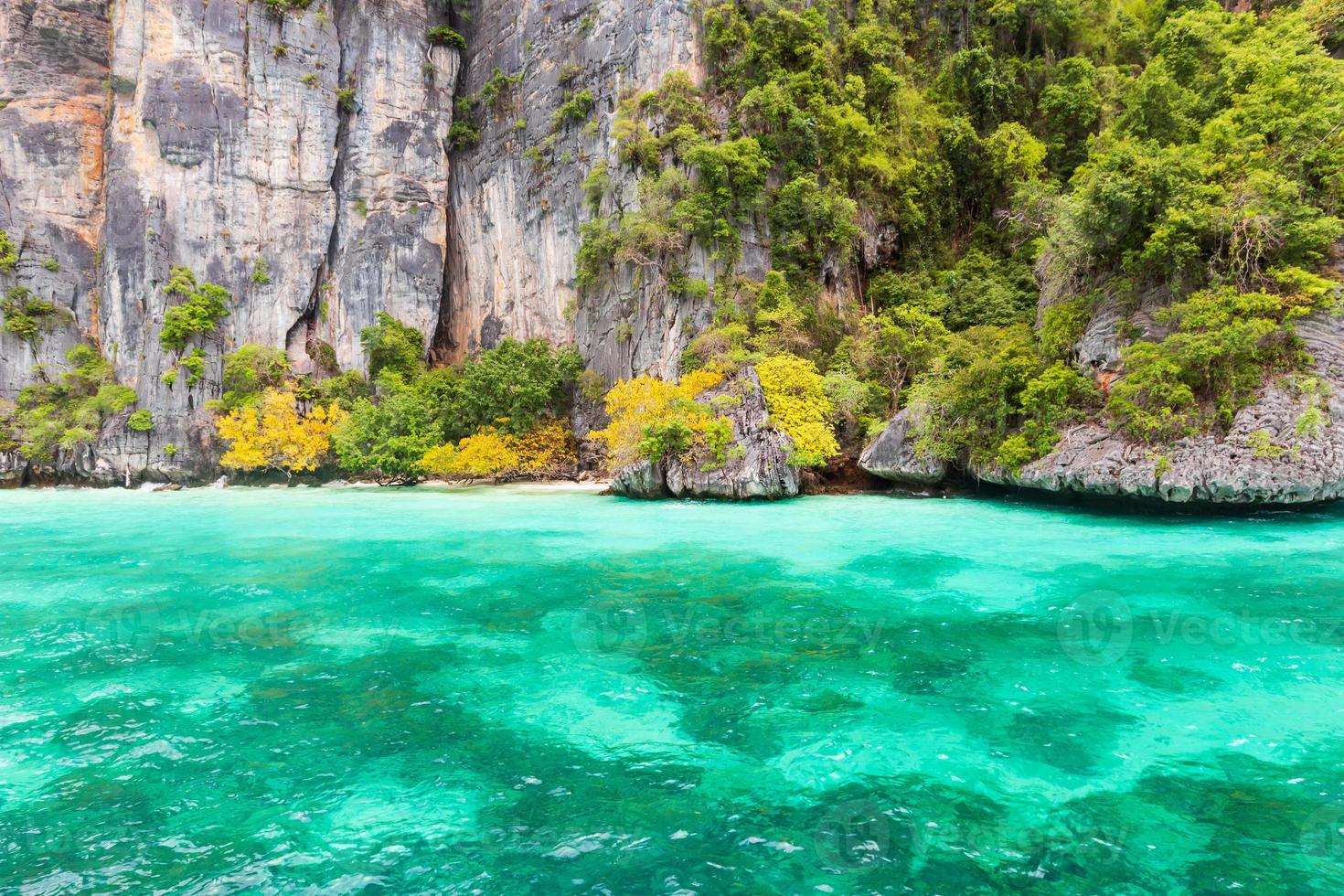 Monkey Bay auf der Insel Phi Phi foto