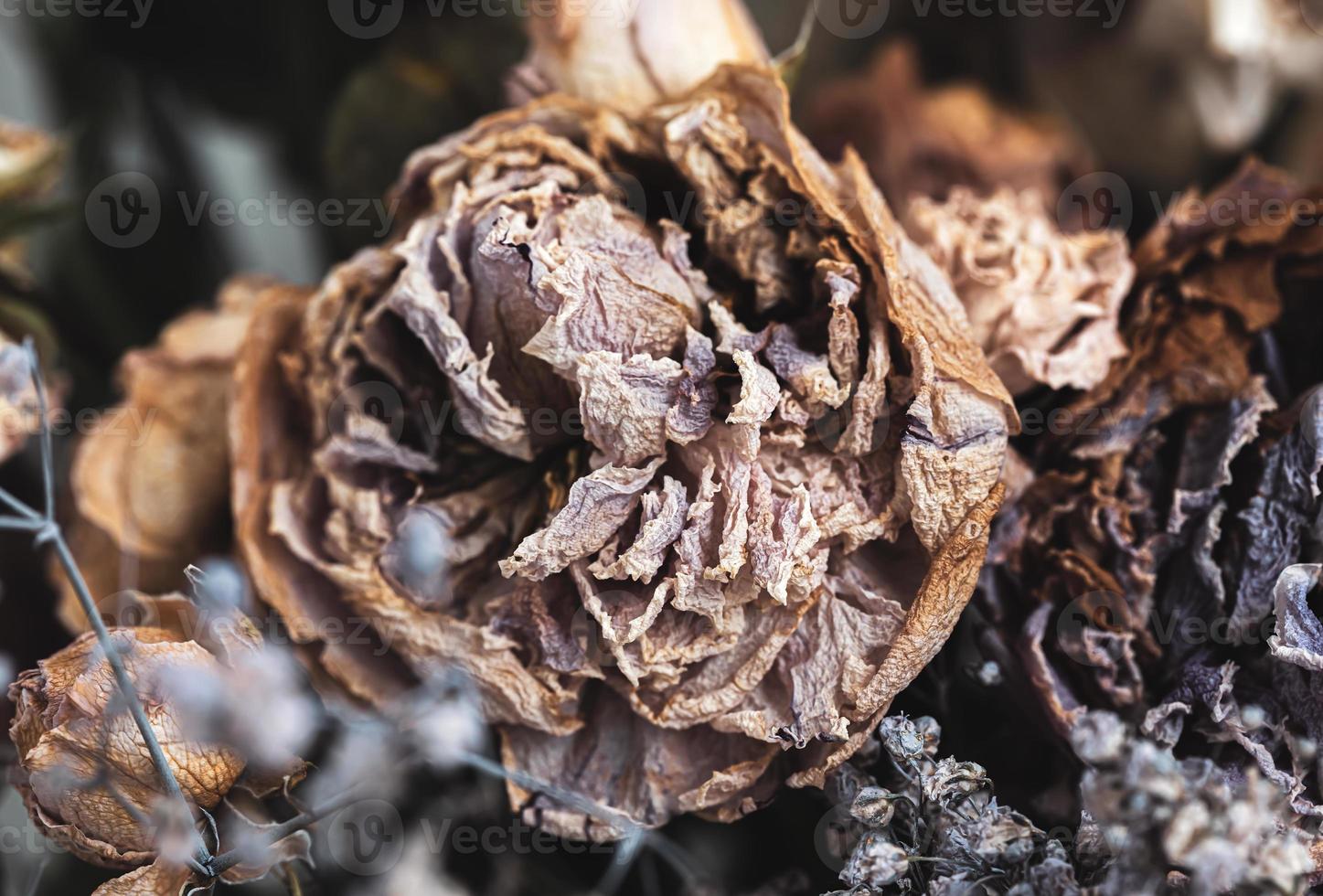 ein Strauß getrockneter verwelkter Blumen foto