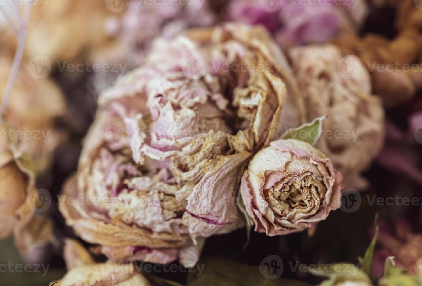 ein Strauß getrockneter verwelkter Blumen foto