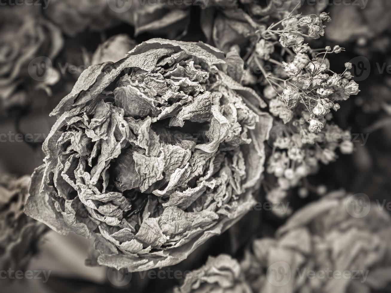 ein Strauß getrockneter verwelkter Blumen foto