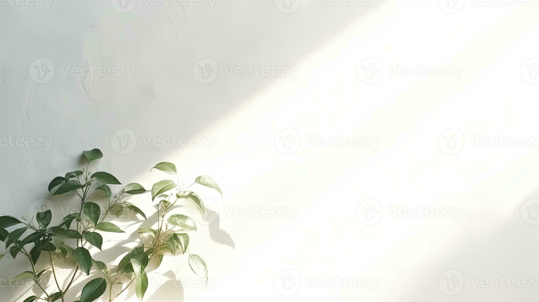 abstrakt Hintergrund mit verschwommen Blatt Schatten auf Weiß Mauer perfekt zum Produkt Präsentation, ai generiert foto
