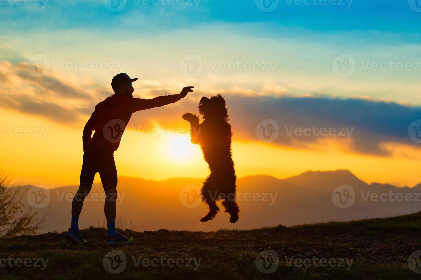 großer Hund springt, um einen Keks von einer Mannsilhouette mit Hintergrund bei farbenfrohen Sonnenuntergangsbergen zu nehmen foto