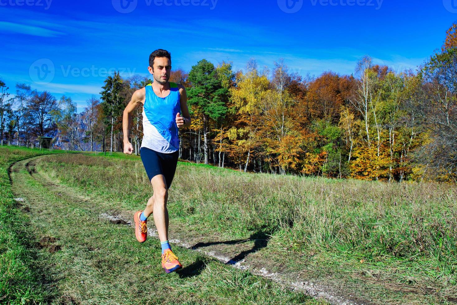 Laufsportler beim Training zwischen Hangwiesen und Wäldern foto