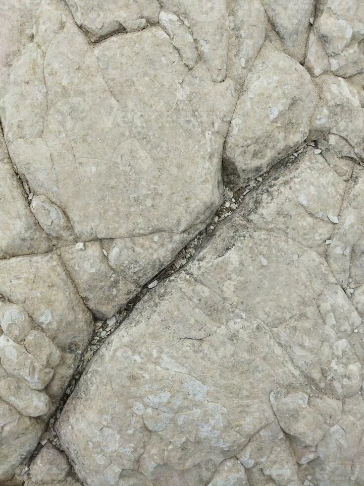 Nahansicht Weiß Kalkstein Felsen Textur Einzelheiten echt Foto zum Hintergrund