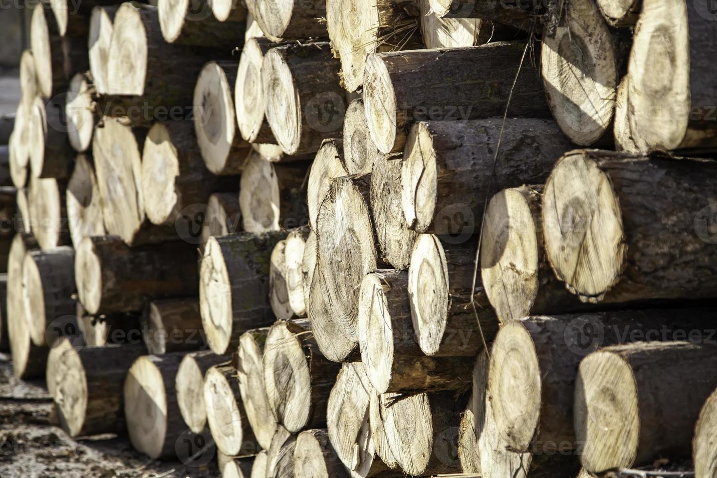 Holzscheite Brennholz foto