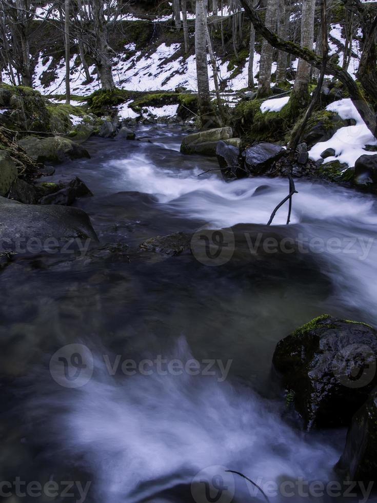 Fluss im gefrorenen Wald foto