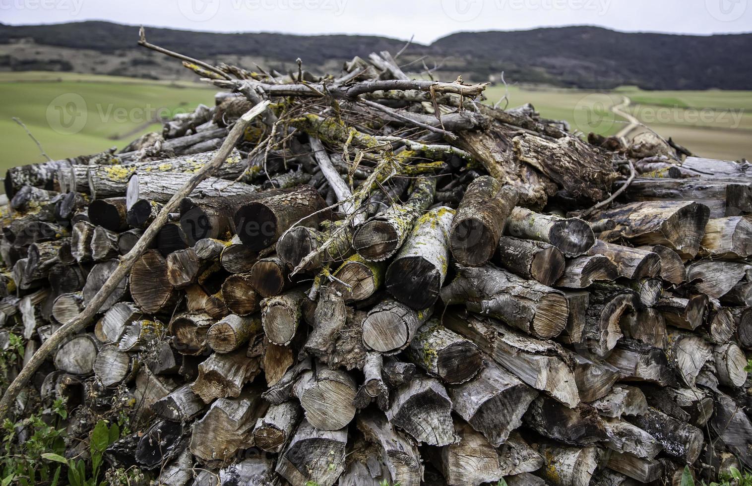 Holzscheite Brennholz foto