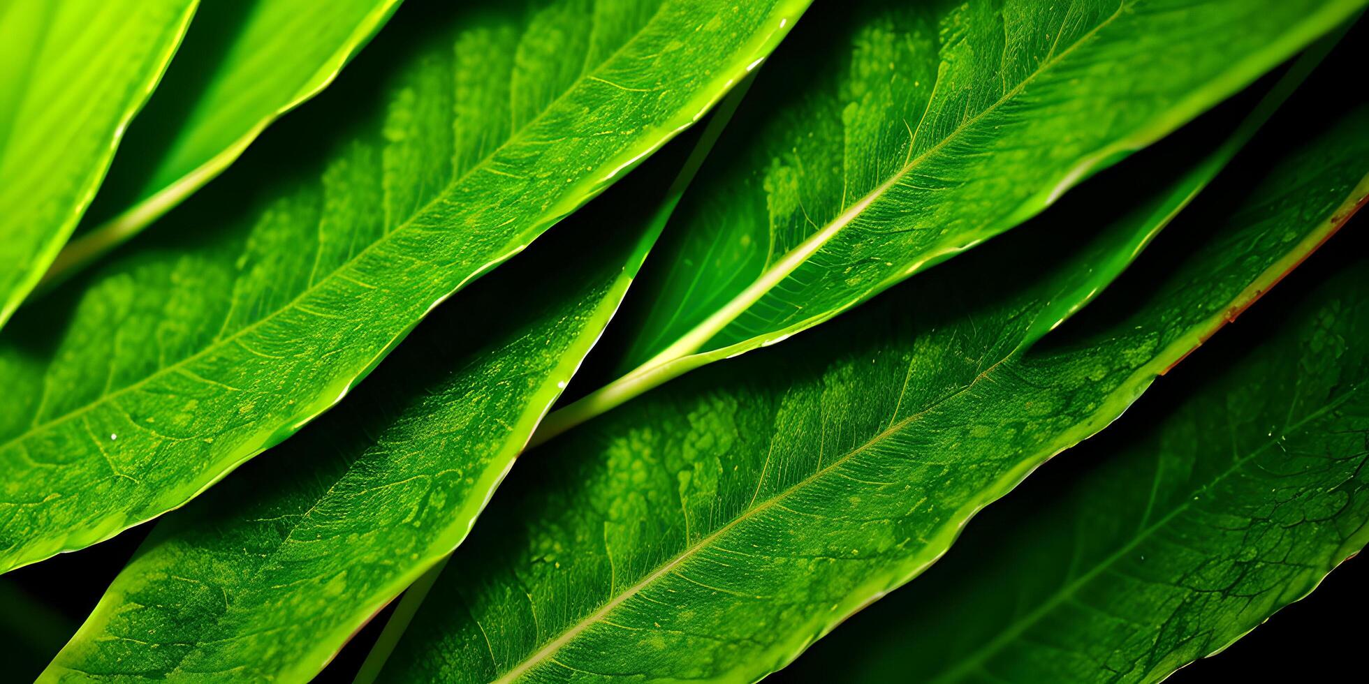 Blatt Konzept Hintergrund Anzeige Frühling Sommer- Blätter Textur Einzelheiten. ai generativ foto