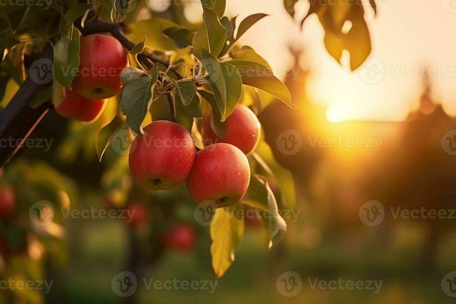 Obstgarten mit Apfel Bäume natürlich Apfel Ast auf ein Obst Bauernhof, generativ ai foto