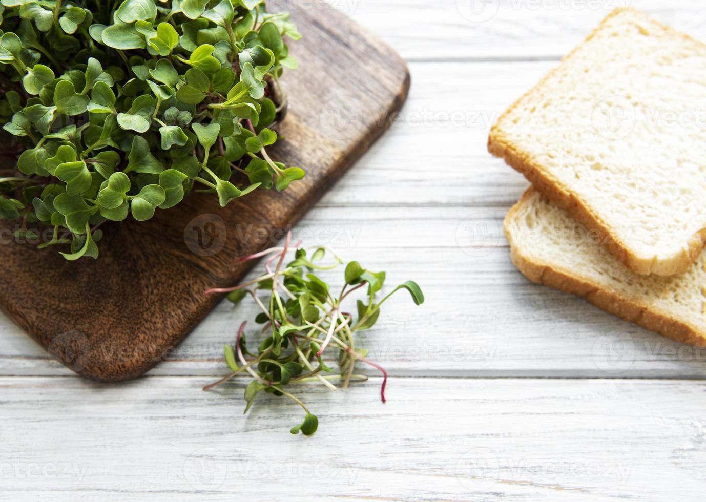 roter Rettich Microgreens und Brot foto