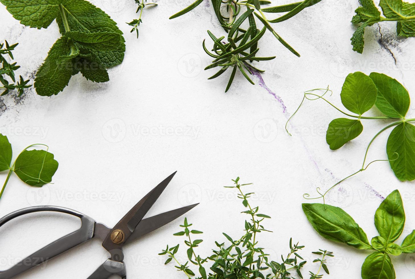 frische Kräuter auf weißem Marmorhintergrund foto