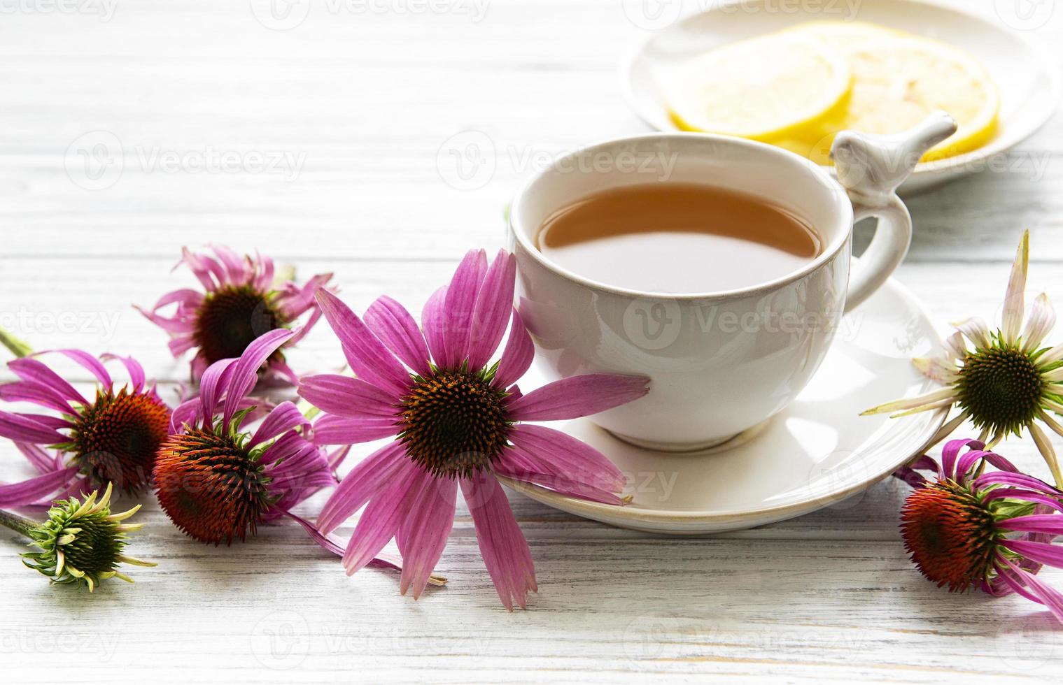 Echinacea-Tee mit Zitrone und frischen Blumen. foto