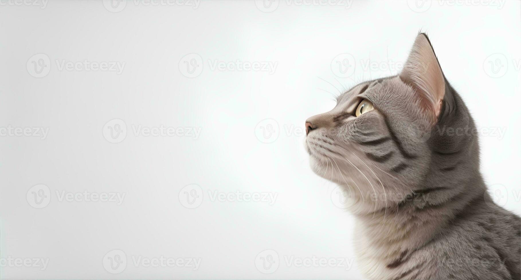 Katze suchen in Entfernung auf grau Hintergrund. ai generiert foto